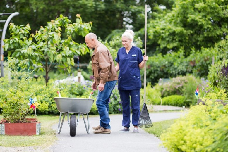 Äldre man skjuter skottkärra i trädgård med personal bredvid sig som håller i en kratta