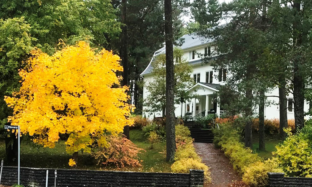 Vit villa omgiven av höstfärger med gulnande träd och grönska, intill en stenmur