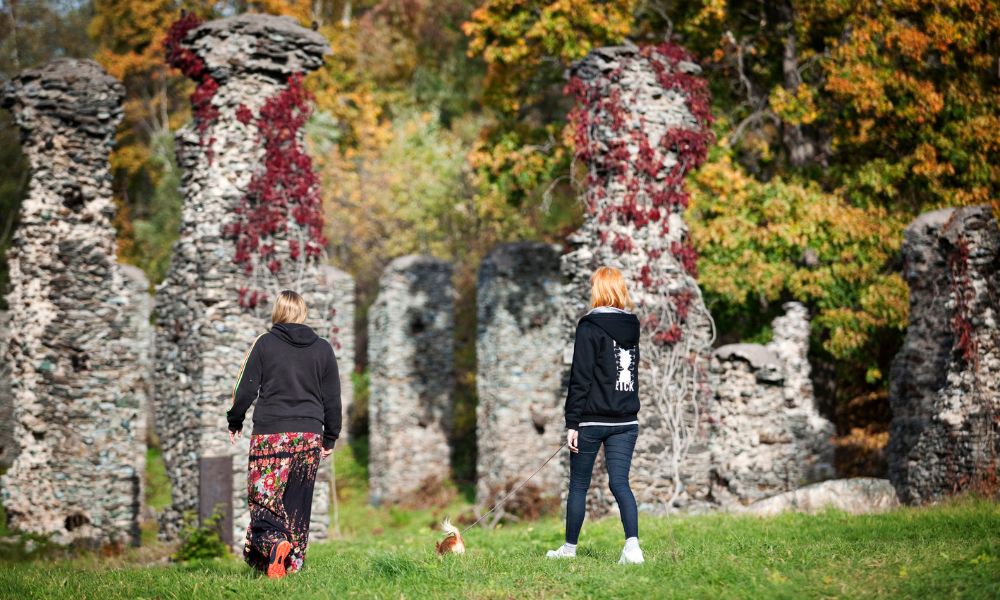 Två kvinnor går bortåt i fin skogsmiljö