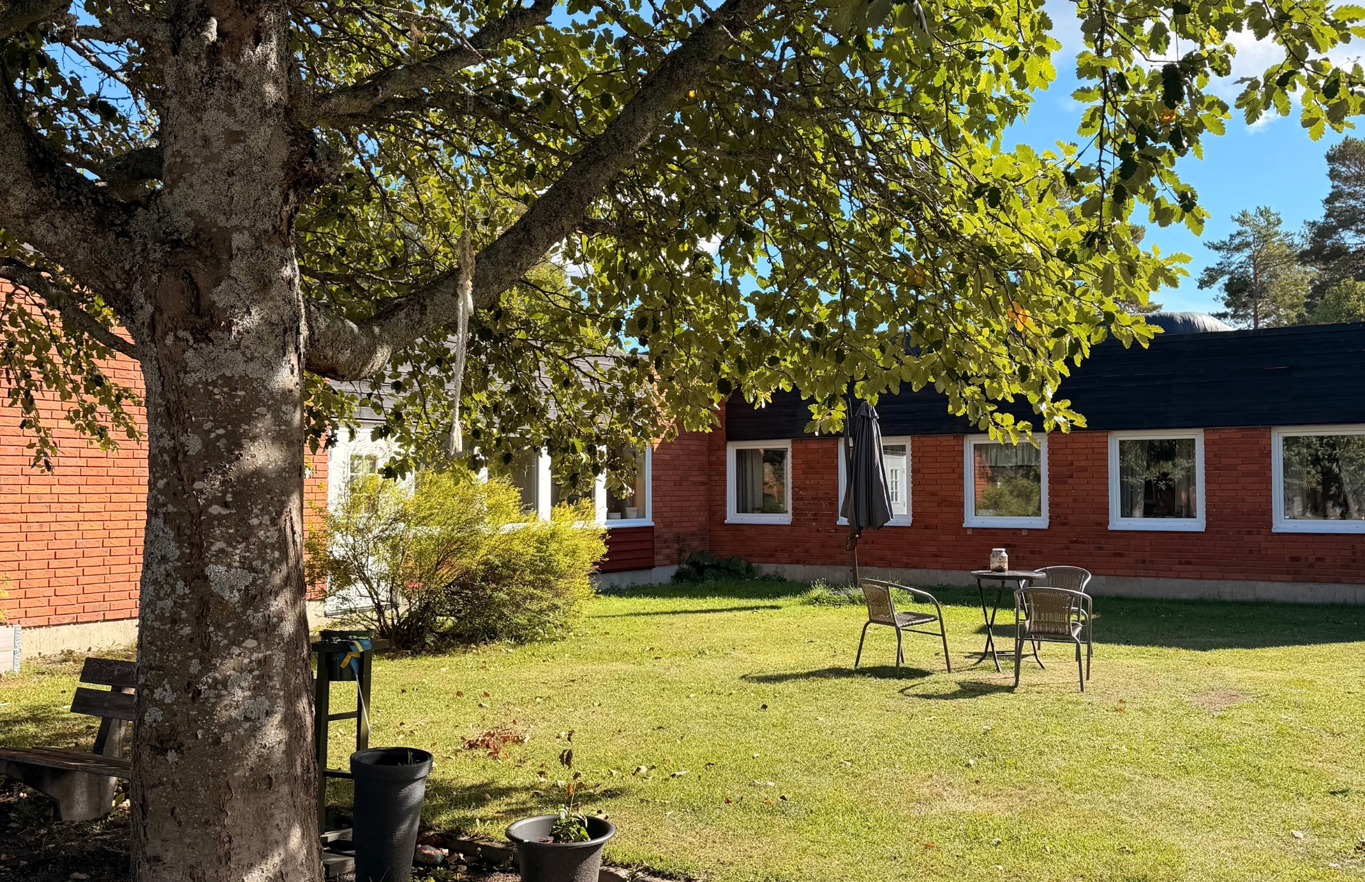Rött tegelhus med stor grön gräsmatta, utemöbler och träd framför